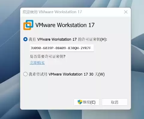 vmware 激活码，vmware虚拟机17激活码