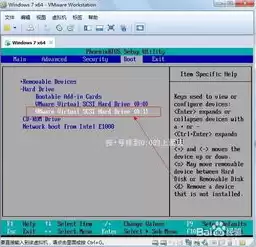 虚拟机怎么用u盘安装操作系统，vmware虚拟机怎么用u盘装系统