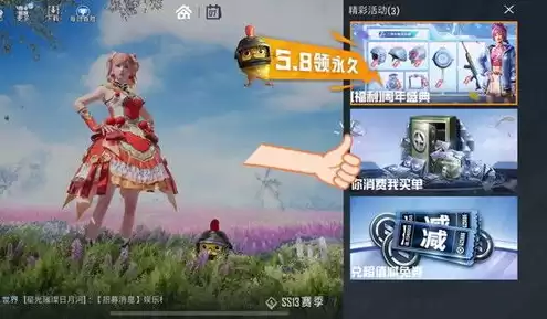 云服务游戏和平精英怎么玩，云服务游戏和平精英