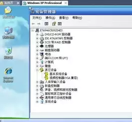 虚拟机检测不到usb设备，vmware虚拟机检测不到usb key