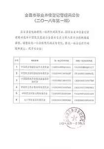 中文域名注册管理机构，中文域名注册情况查询