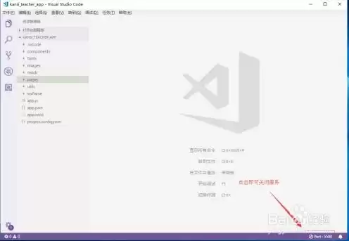 vscode 本地服务器插件，vscode服务器环境