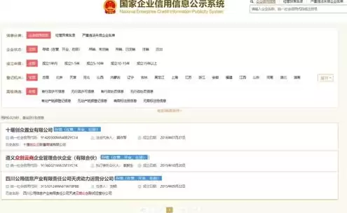 网站域名注册情况，网站域名注册的相关证书或者证明文件