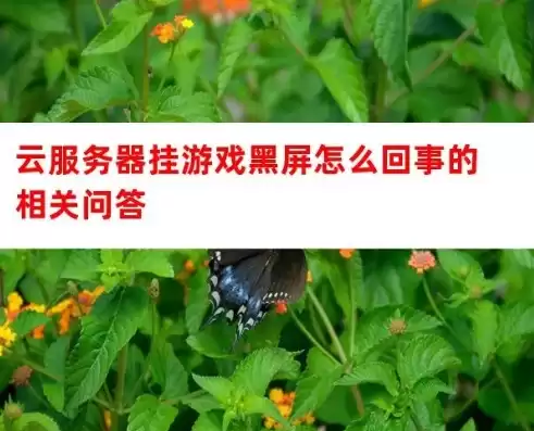 云服务器玩端游，云服务器游戏黑屏怎么升级驱动