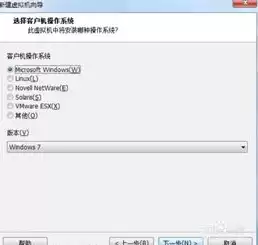 vmware虚拟机镜像文件下载，vmware虚拟机镜像iso下载win10