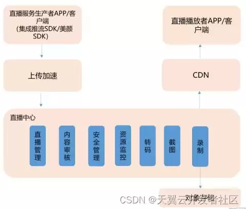 对象存储提供的存储类型，对象存储的功能特点包括以下哪些项目