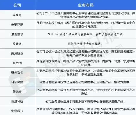 国内液冷系统龙头企业，液冷服务器龙头股中石科技外资介入情况