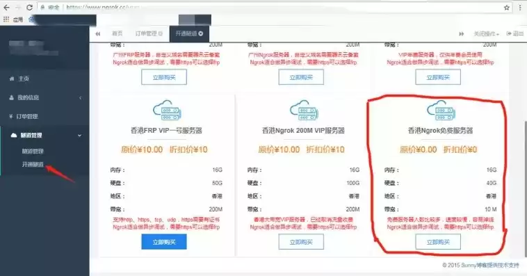 永久免费二级域名注册网，免费二级域名注册网站有哪些软件