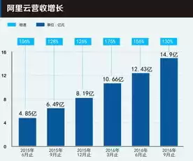 国内最大的云计算服务商是，全球最大的云计算服务商