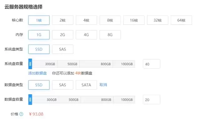 云服务器型号如何选择，云服务器类型怎么选择