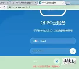 oppo云服务官网登录，oppo官网云服务入口