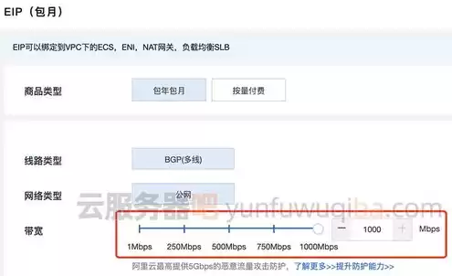 云服务器的ip是公网ip吗，云服务器ip数量什么意思