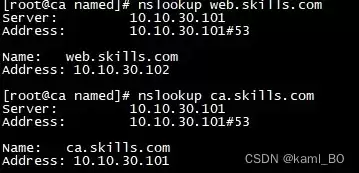 centos8搭建dns，centos dns服务器搭建