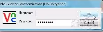 服务器vnc连接失败，服务器vnc输不进密码