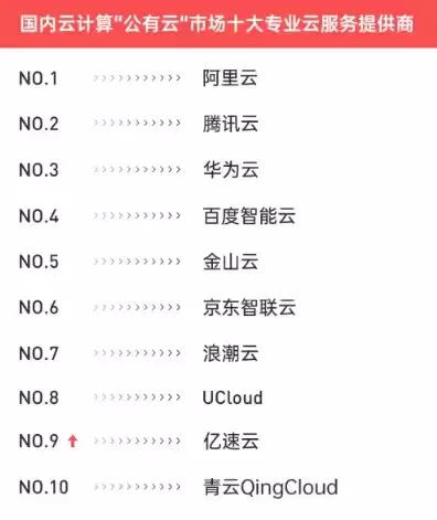 中国云服务公司排名前十，中国云服务公司排名