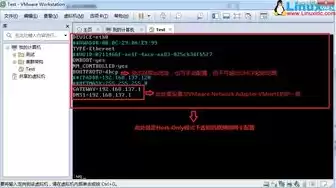 虚拟机网卡设置三种模式，vmware虚拟机网卡设置