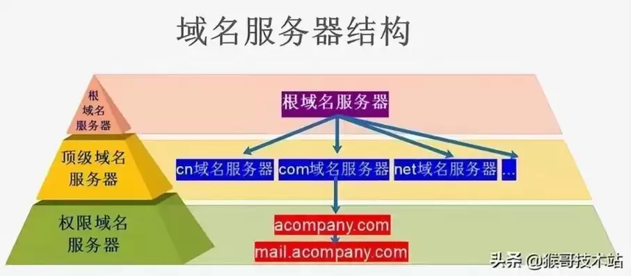 服务器和域名是什么，服务器和域名