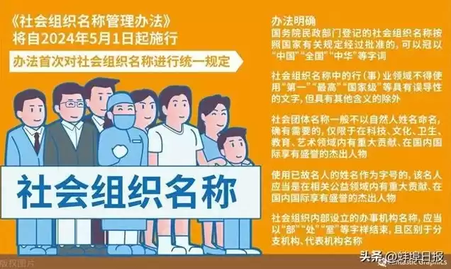 社会组织名称怎么填?，社会组织专用中文域名注册是什么意思