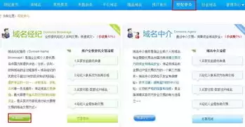 域名注册成功了为什么进不了网站，域名注册的网站信息查询怎么查询不了呢