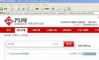 为什么要万网注册域名才能用，为什么要万网注册域名