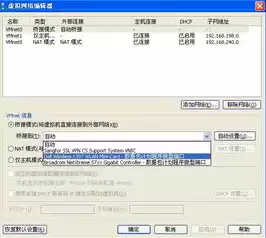 虚拟机连接无线wifi，虚拟机连接无线网