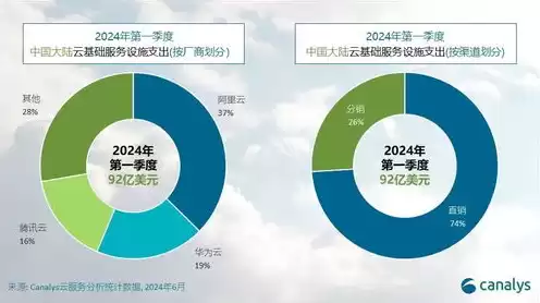 2020中国云服务市场份额，中国云服务商市场占有率