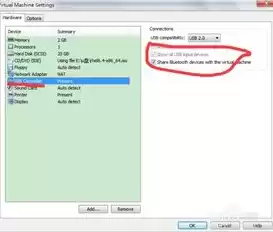 虚拟机不显示u盘怎么办，虚拟机不显示u盘