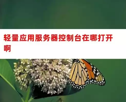 服务器怎么打开控制面板，服务器控制台怎么打开