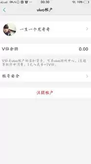 vivo云服务密码怎么找出来，vivo云服务密码怎么找