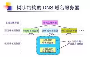 域名和服务器的关系