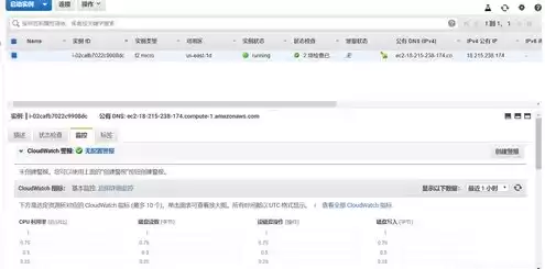 aws cloud，aws云服务器自动分配域名怎么改啊