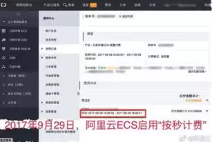 ecs云服务器可以挂载什么数据盘，云服务器ecs是干什么的