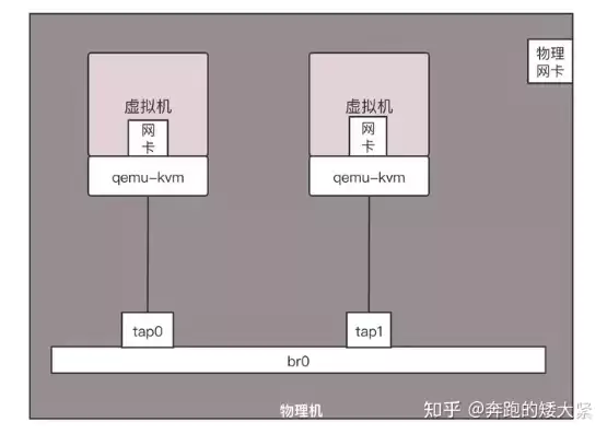 虚拟机和主机联网，虚拟机和主机网络互通