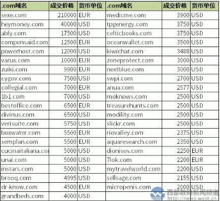 国外注册域名的网站是什么意思啊，国外注册域名的网站是什么意思