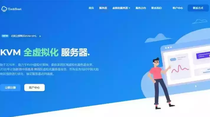 代理服务器软件 apk，代理服务器软件