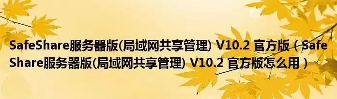 局域网共享软件推荐，局域网共享服务器软件