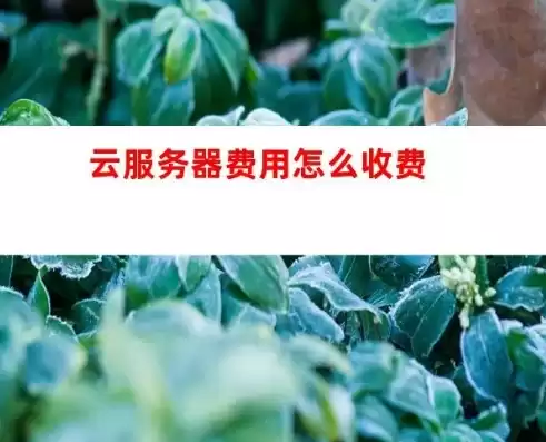 云服务花钱吗?，云服务一般每个月收多少钱