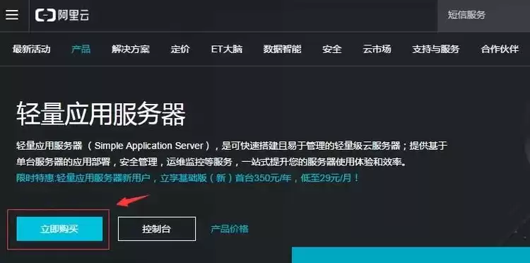 阿里云服务器搭建网站需要加防毒面板吗，阿里云服务器怎么搭建网站