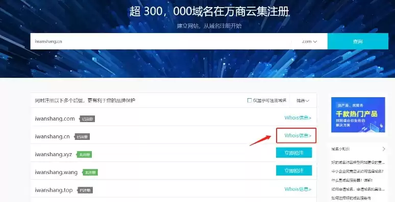 域名注册平台官网查询官方，域名注册平台官网查询官方