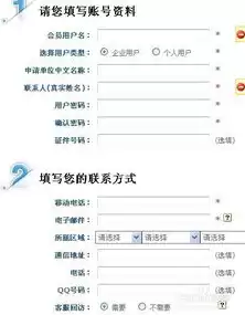 怎么申请域名建网站，如何申请网络域名注册信息