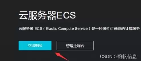 ecs云服务器新手上路，ecs云服务器搭建