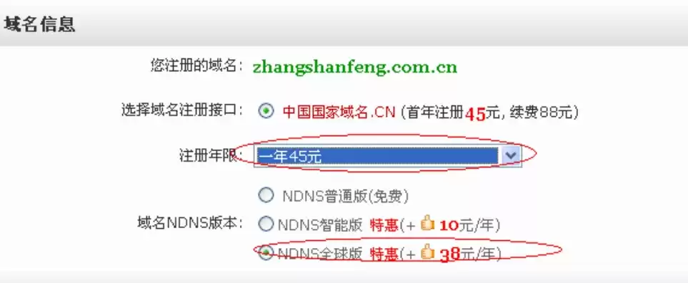 cn网络域名注册，纳点网域名注册