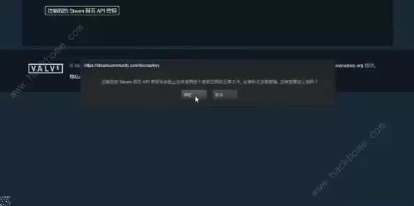 手机steamapi key怎么获取，手机上steamapi域名怎么注册