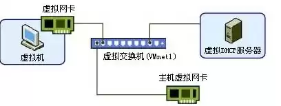 vmware虚拟网络中的网络模式是什么，vmware虚拟机联网是nat模式吗