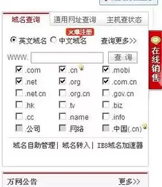域名 注册 查询，网址域名注册信息查询