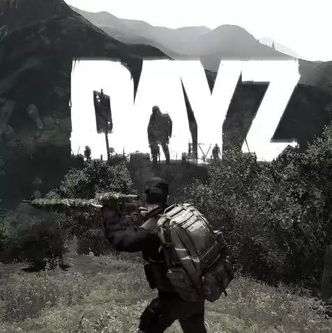 dayz服务器是什么意思，dayz服务器推荐