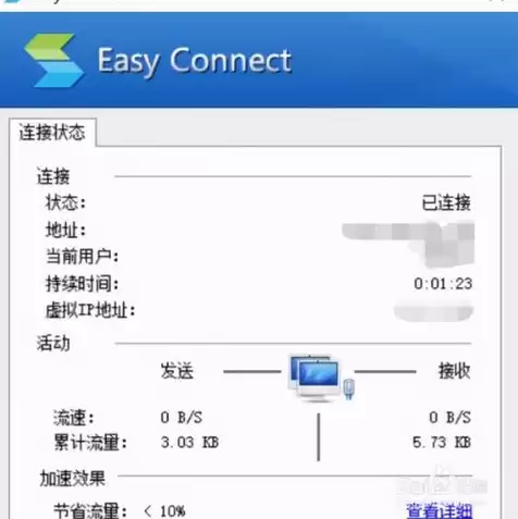 easyconnect服务器地址填什么，easyconnect服务器地址怎么填