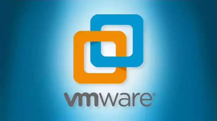 vmware vmdk文件，虚拟机vmdk文件越来越大怎么办