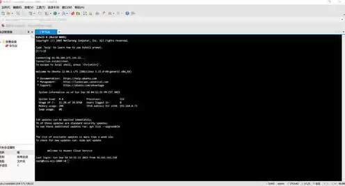 华为云服务器如何登录，华为云服务器远程登录教程下载