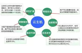 vps是云主机吗，vps和云主机的区别